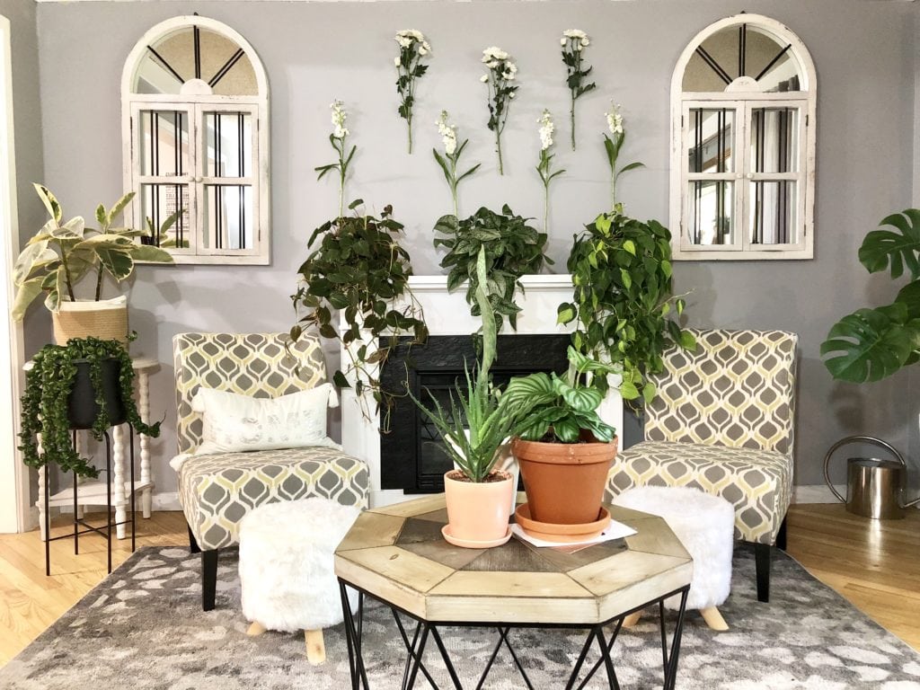 Plant Life Series: A Modern Bohemian Plant Paradise in Chicago