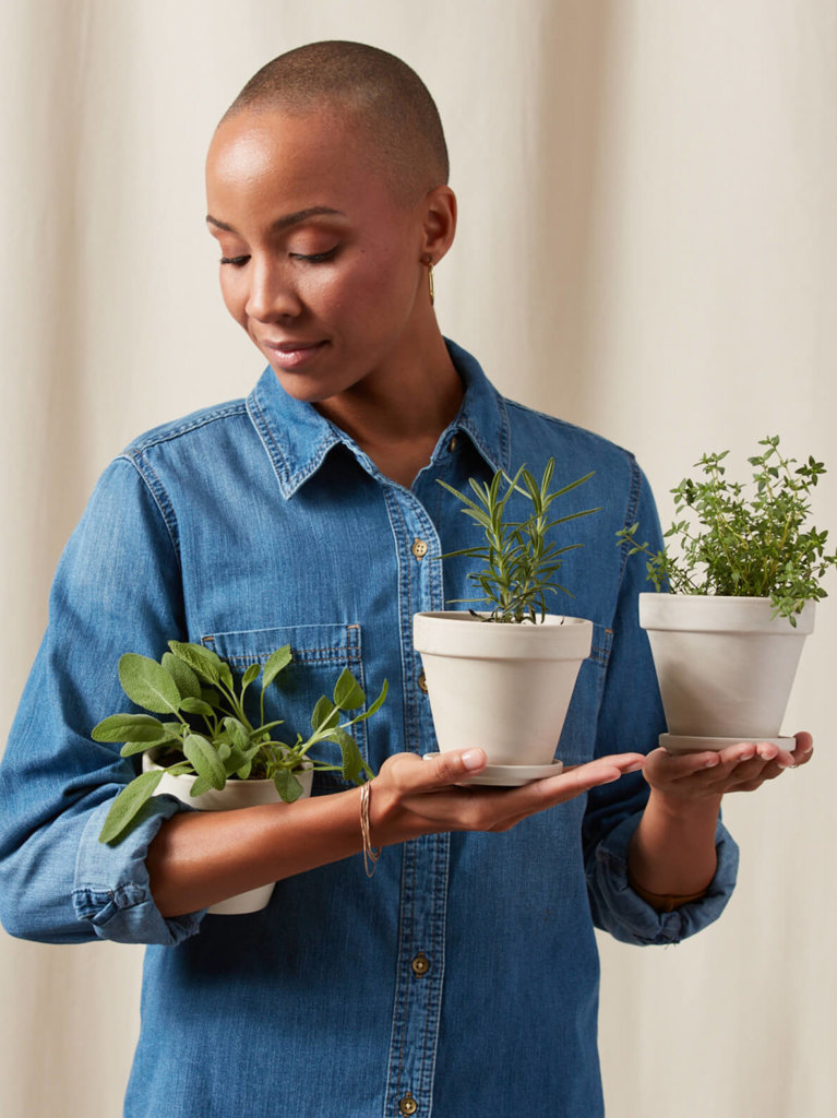 Buy Bloomscape Potted Aromatic Collection